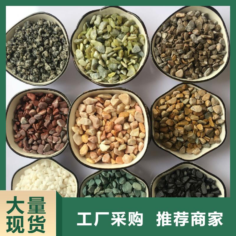 氨氮去除劑公司