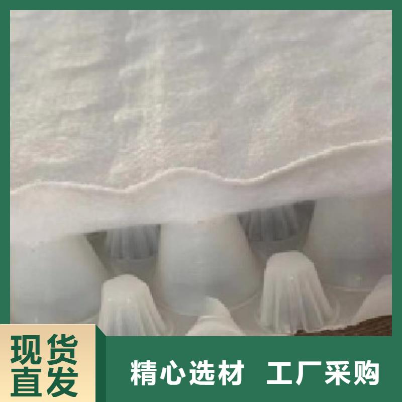 【虹吸排水】-水泥化粪池真正的源头厂家