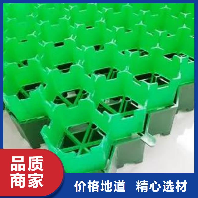 塑料植草格厂家——欢迎咨询