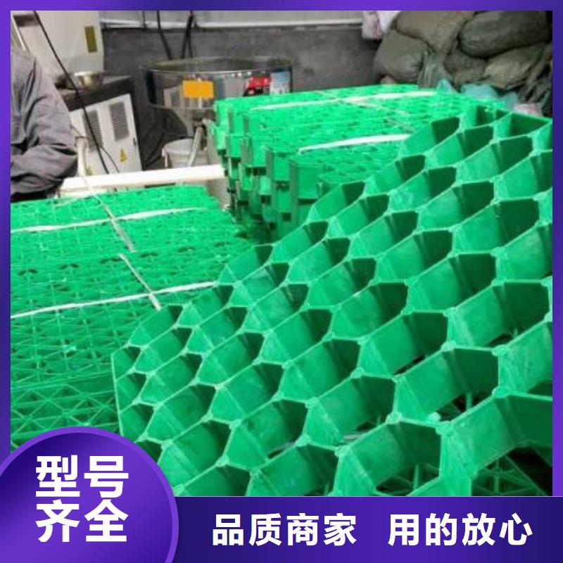 塑料植草格型号全——秒发