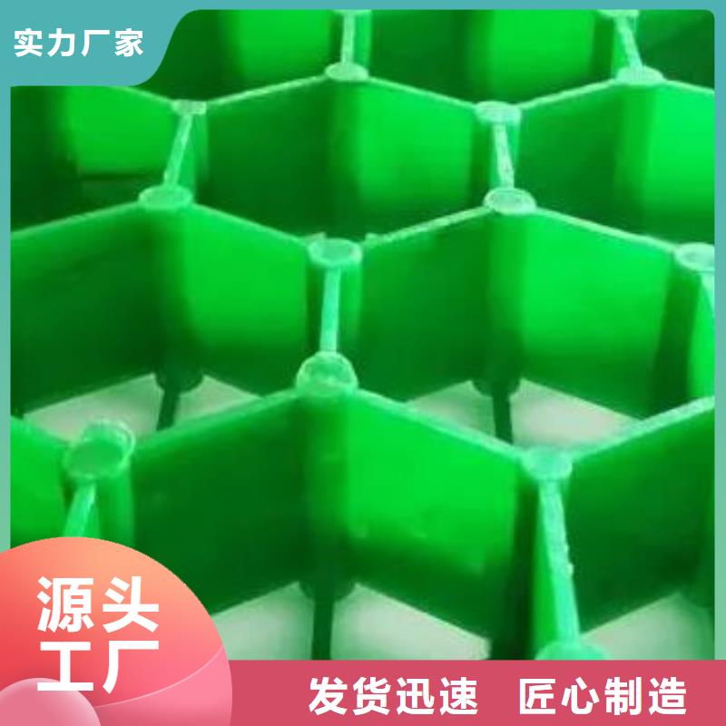 植草格水泥化粪池品牌大厂家