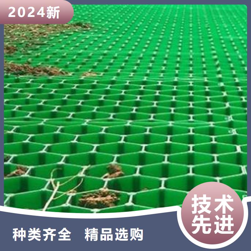 塑料植草格2025新闻