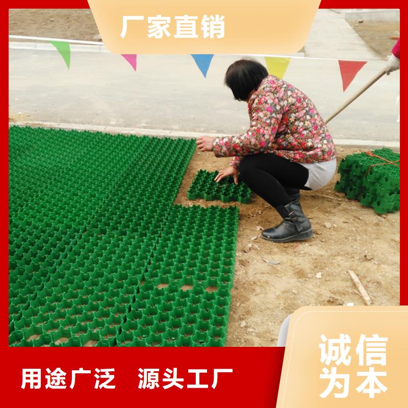 塑料植草格厂家直供山东朋联