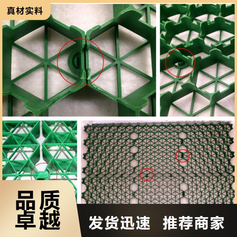 塑料植草格新发售价