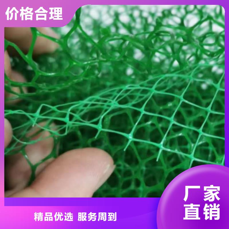 三维土工网垫品牌推荐