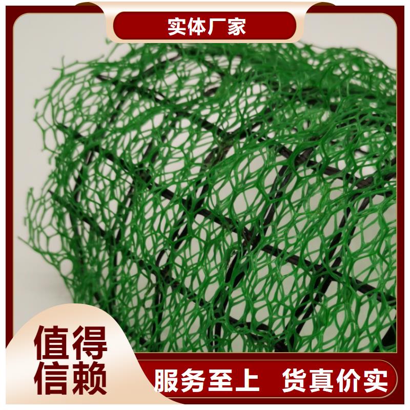 三维植被网【植草格】品质过硬