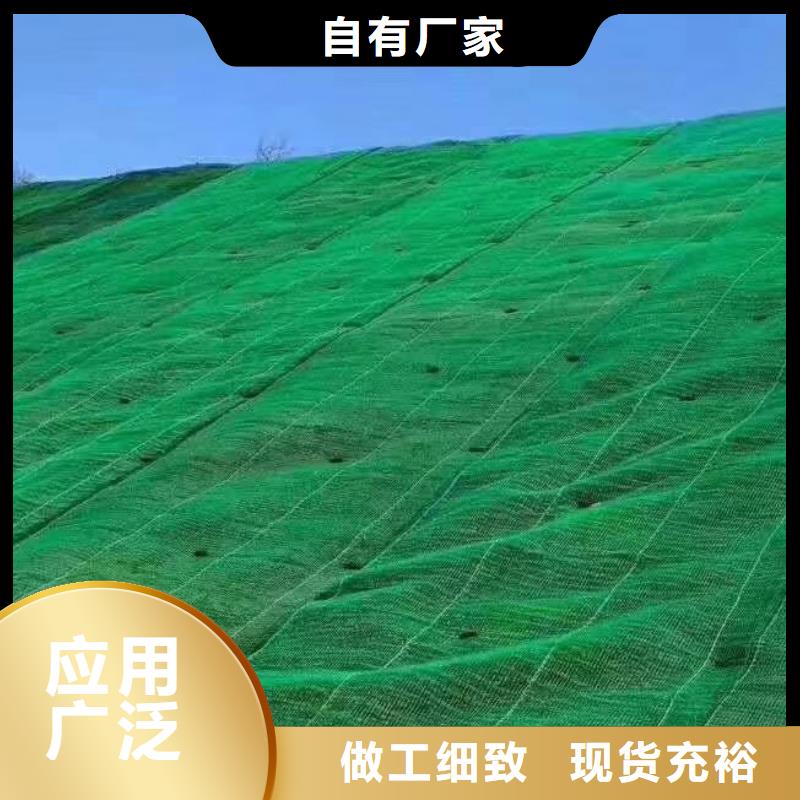 三维植被网,防护虹吸排水收集系统合作共赢