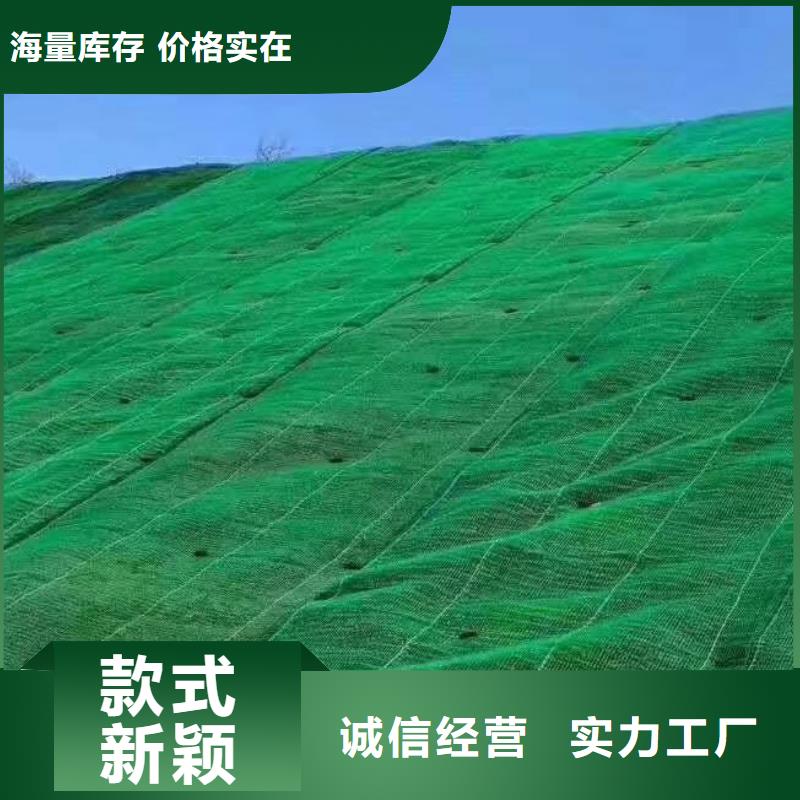 三维植被网,防护虹吸排水收集系统匠心品质