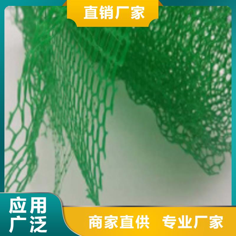 三维植被网【植草格】品质过硬