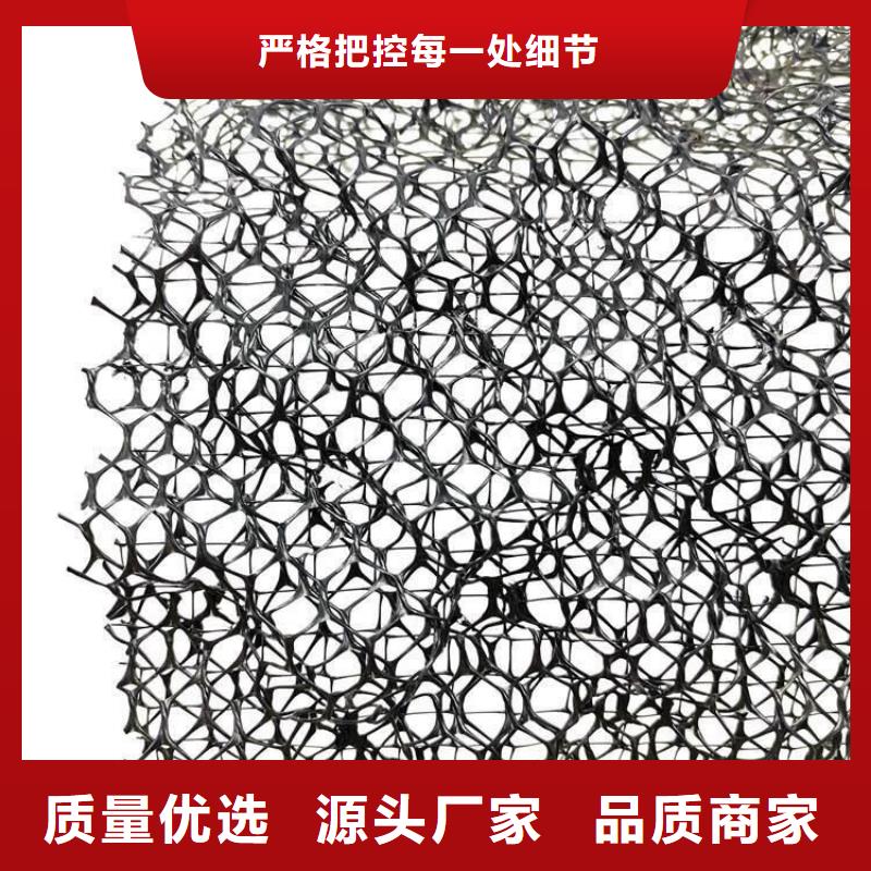 【三维植被网】植草格经验丰富品质可靠