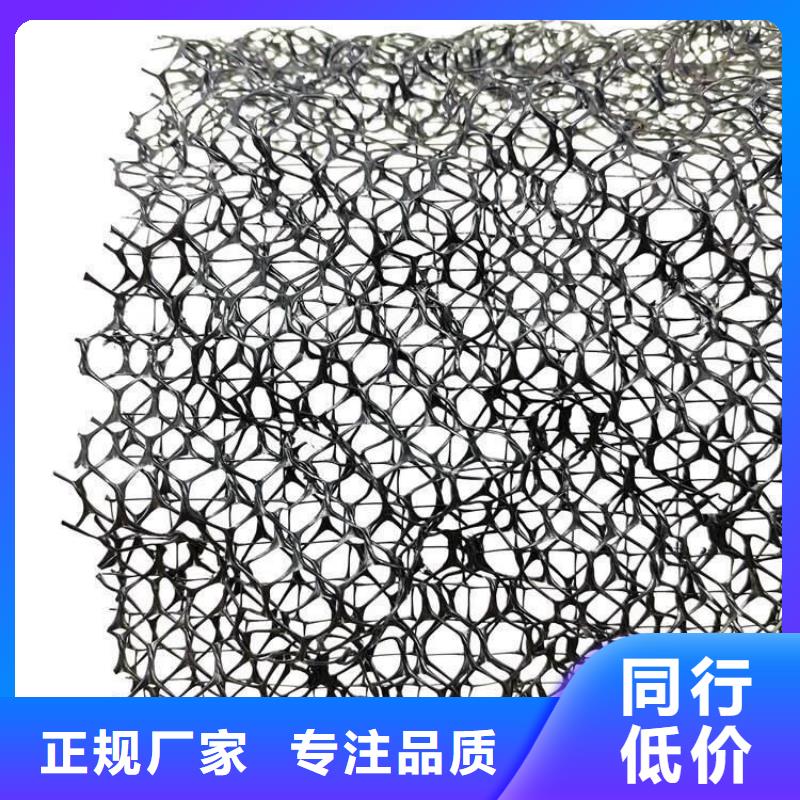 三维植被网水泥化粪池精选优质材料