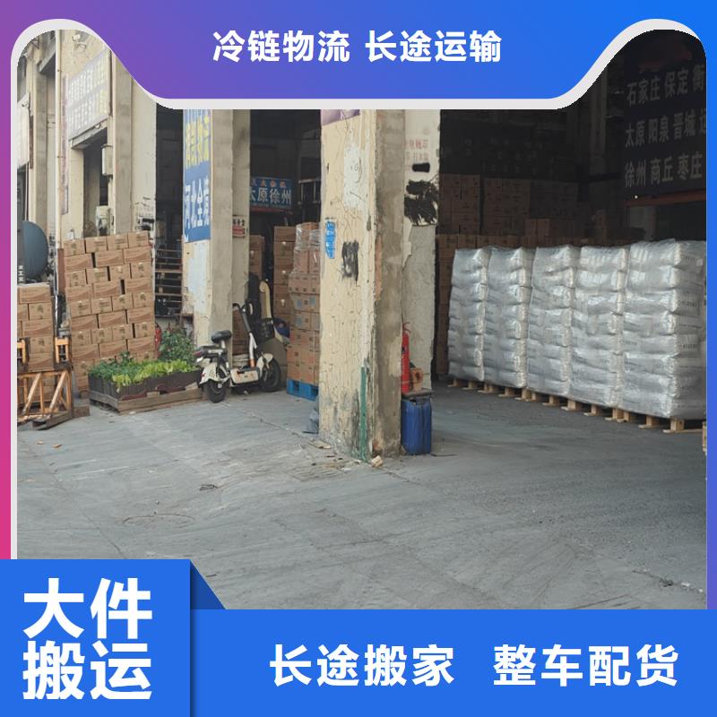 上海到金塔物流公司