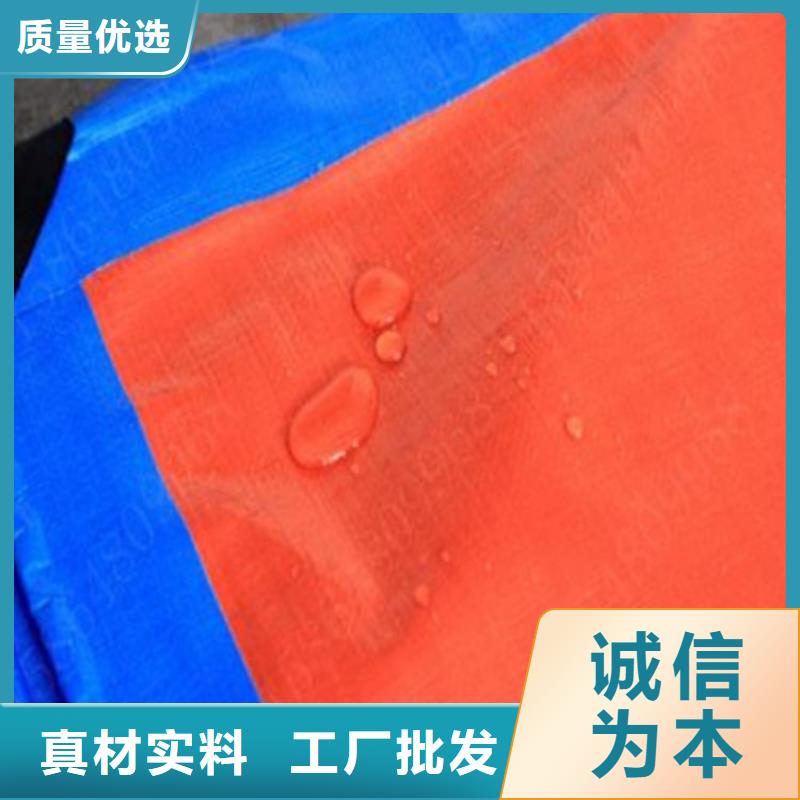 防雨布8x15彩条布欢迎新老客户垂询