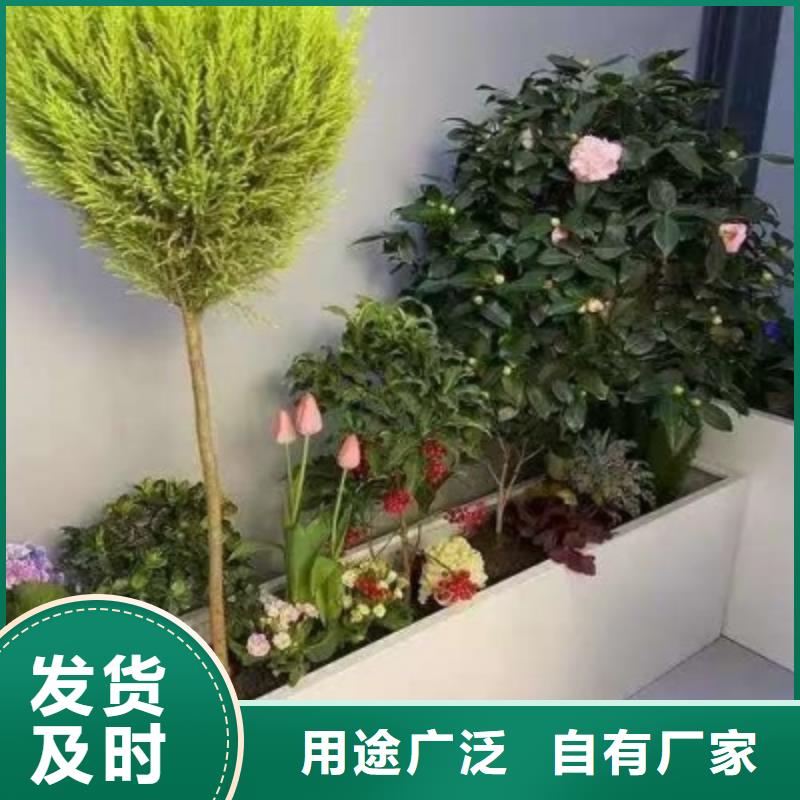 花箱_背靠背垃圾箱廠家實(shí)力雄厚