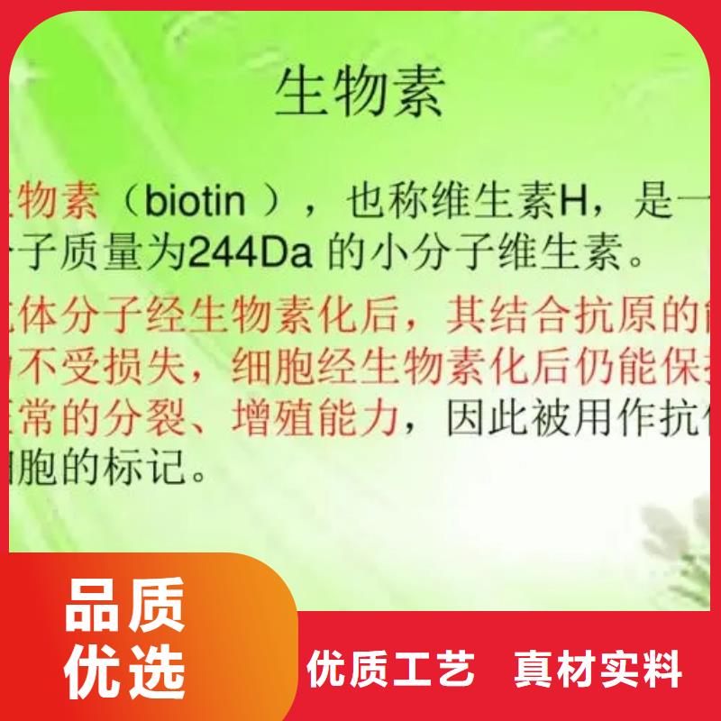 维成素B7用途