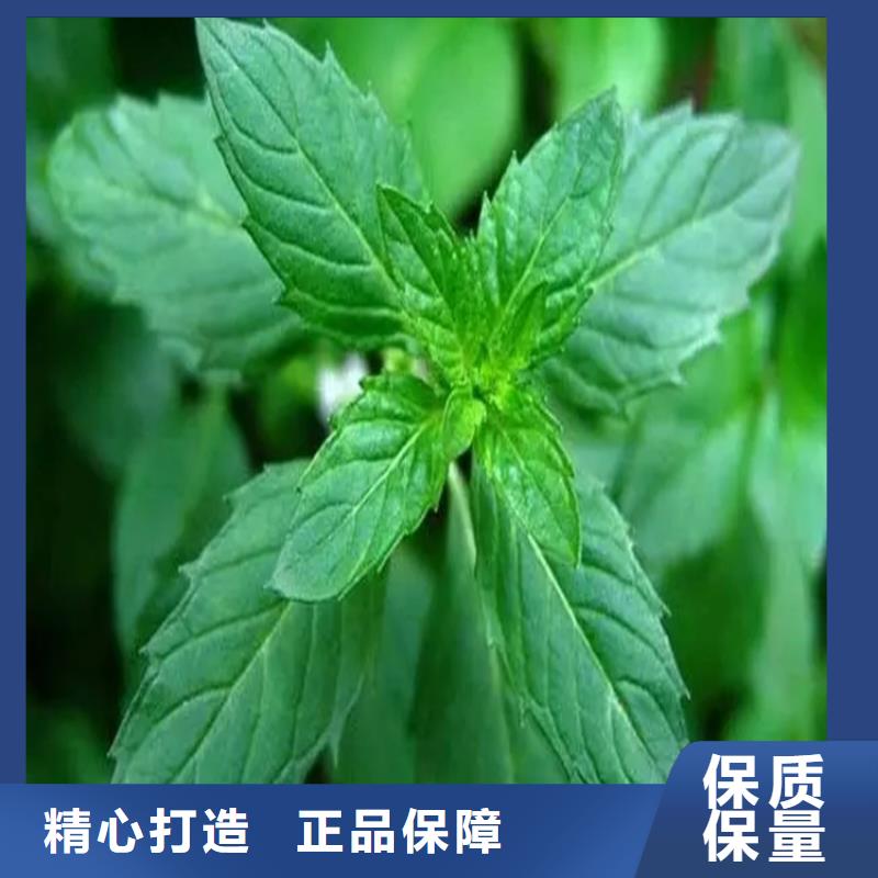 歙縣回收甜菜堿無中間商賺差價