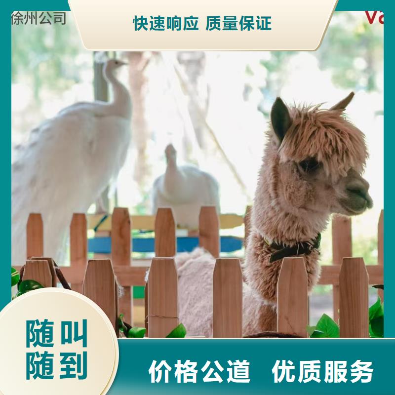 萌寵出租價(jià)格美麗