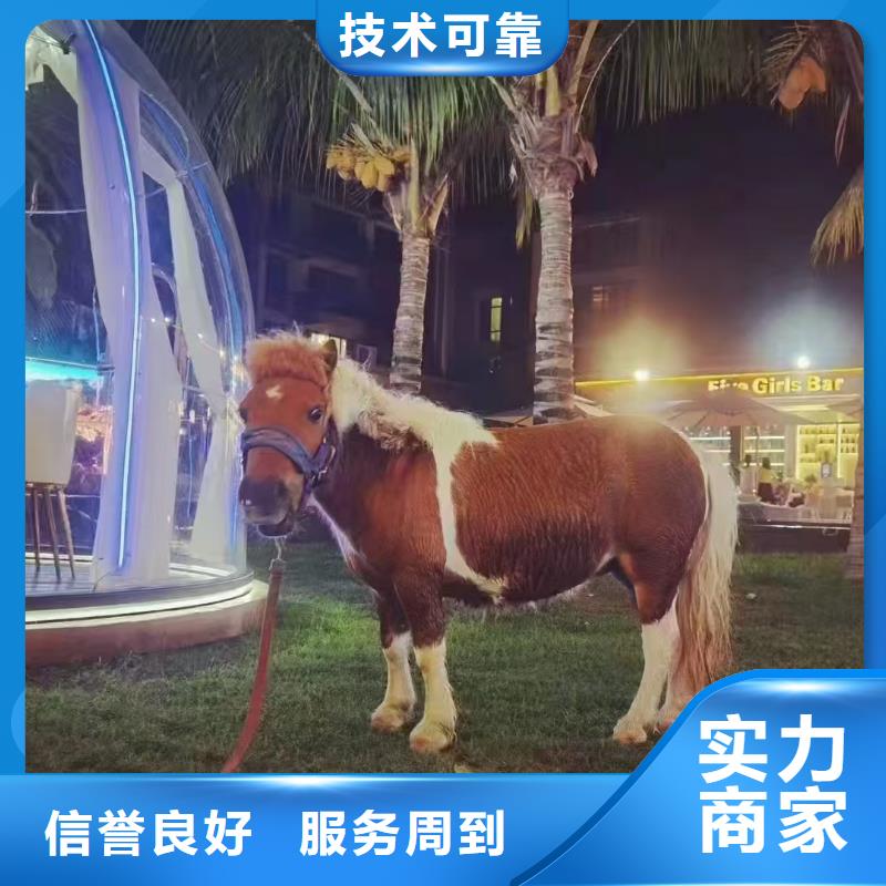 萌寵出租全國銷售點(diǎn)