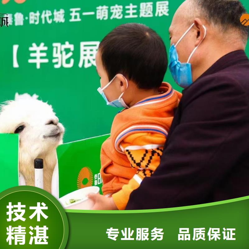 生產(chǎn)小矮馬的基地