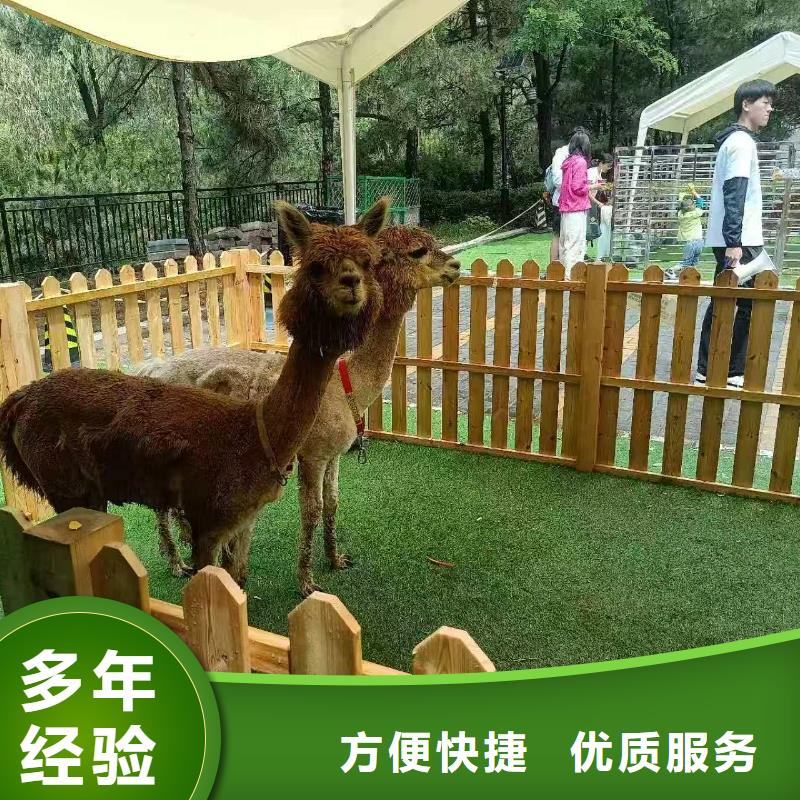 【圖】景區(qū)活動廠家批發(fā)