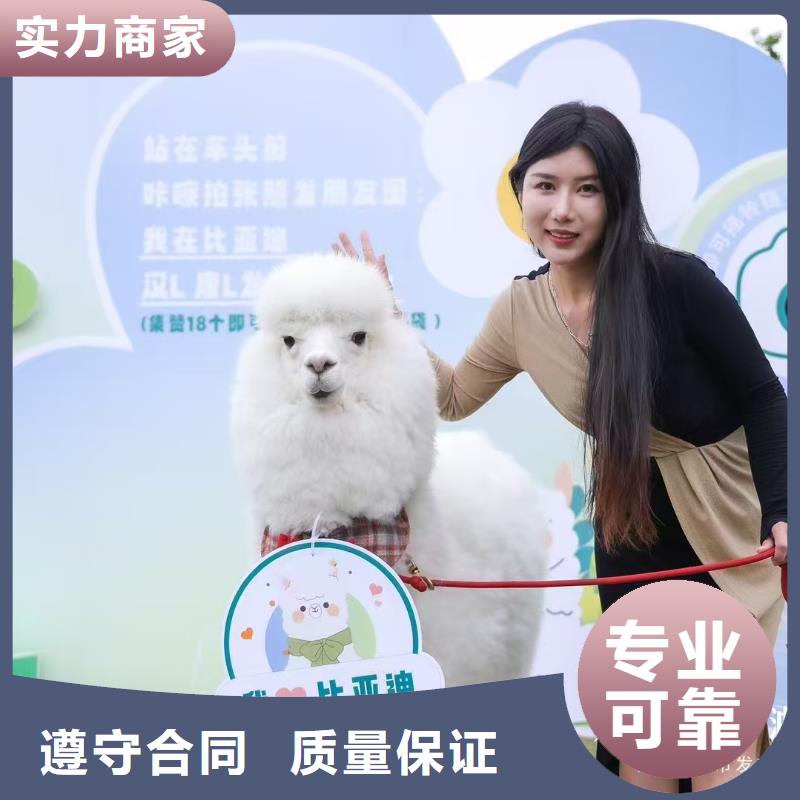 商場暖場活動-商場暖場活動質(zhì)優(yōu)價廉