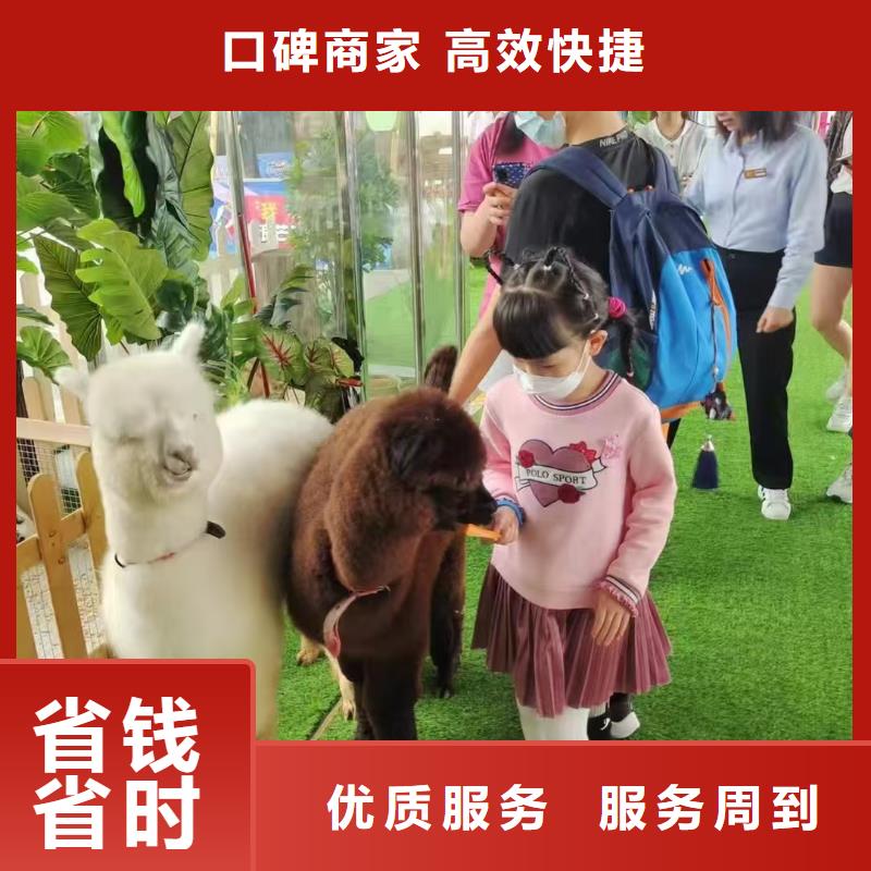 梅花鹿出租廠商