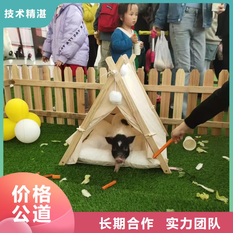 【圖】策劃活動(dòng)價(jià)格