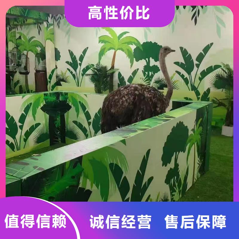 景區(qū)活動-質(zhì)量可靠