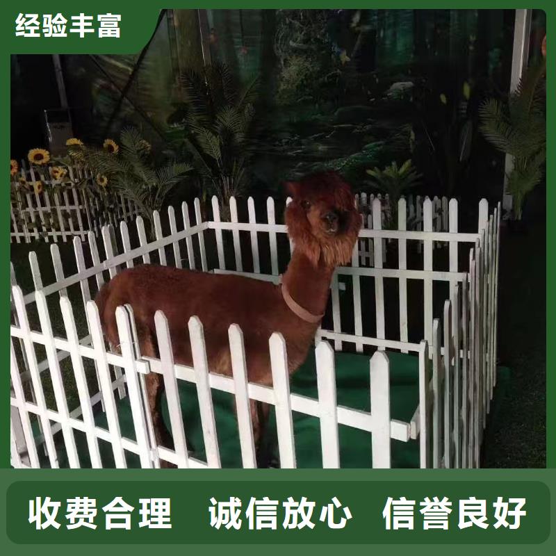 商場暖場活動生產(chǎn)定制