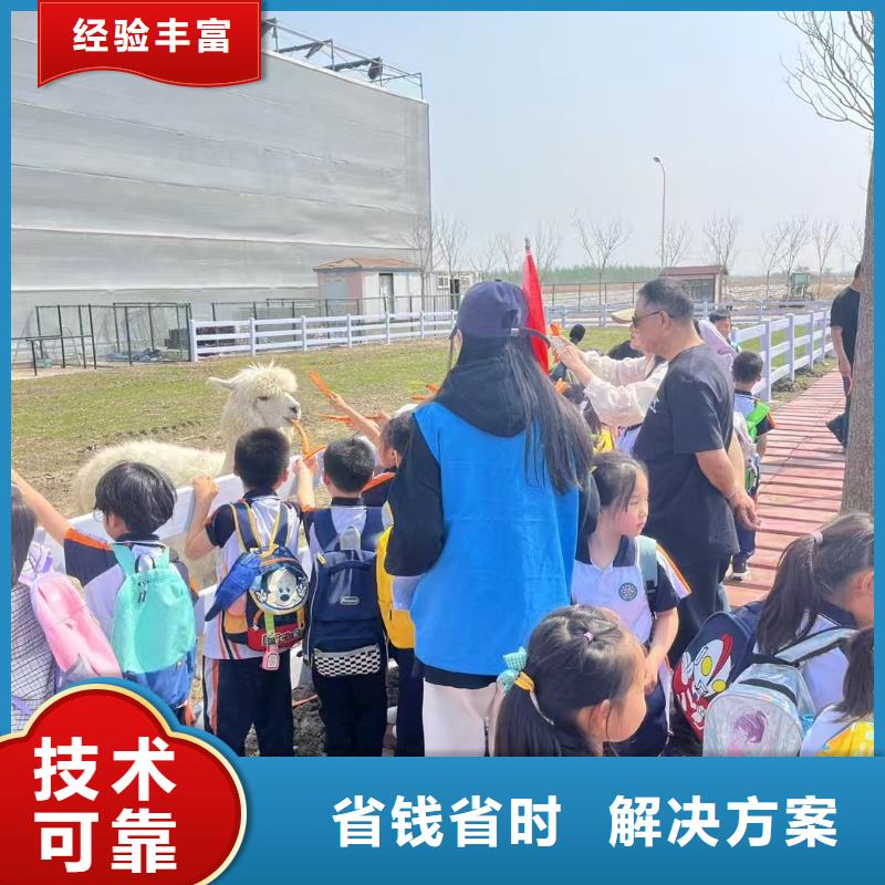 矮馬出租如何購(gòu)買(mǎi)