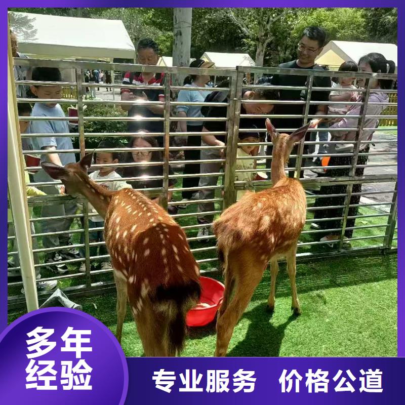 專業(yè)銷售策劃活動(dòng)-保量