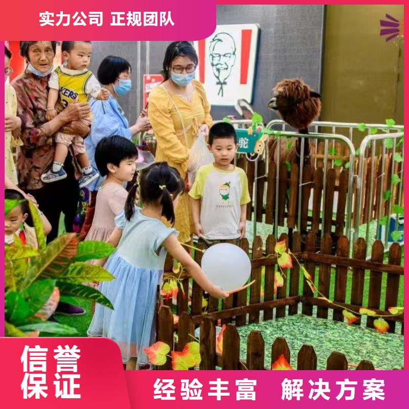 #羊駝出租#到廠參觀