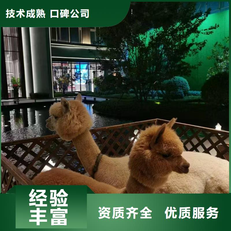 景區(qū)活動(dòng)-質(zhì)量可靠