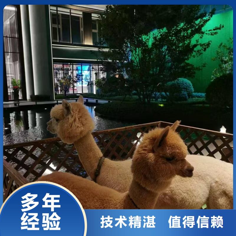 商場暖場活動生產(chǎn)定制