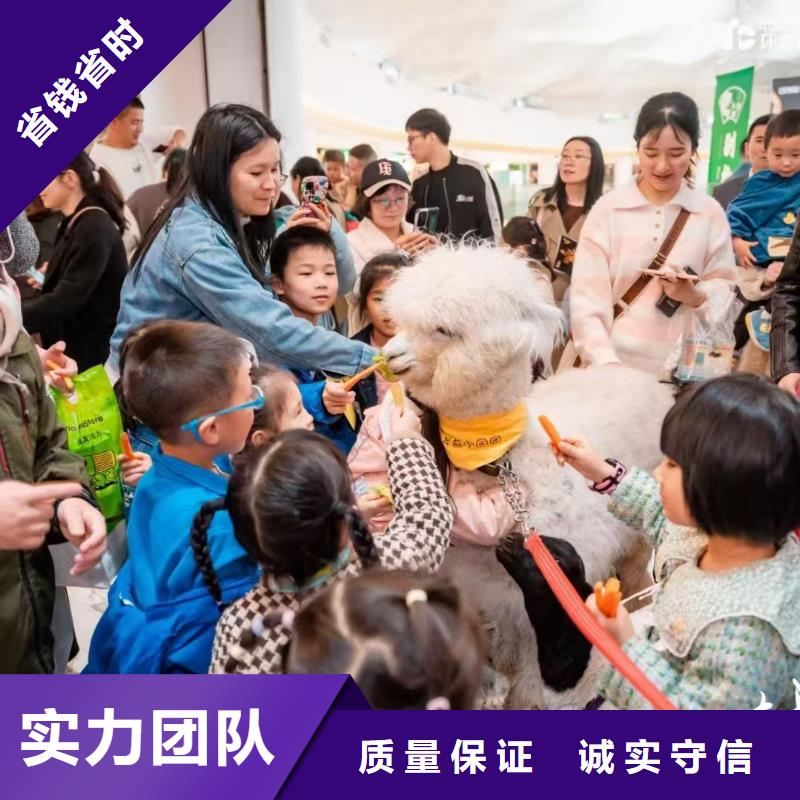 萌寵出租全國銷售點(diǎn)