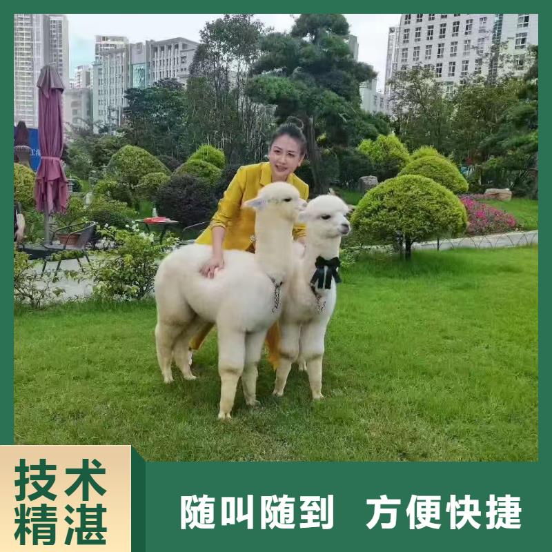 有現(xiàn)貨的景區(qū)活動廠家