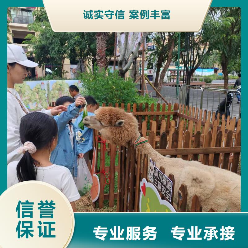 有現(xiàn)貨的景區(qū)活動廠家