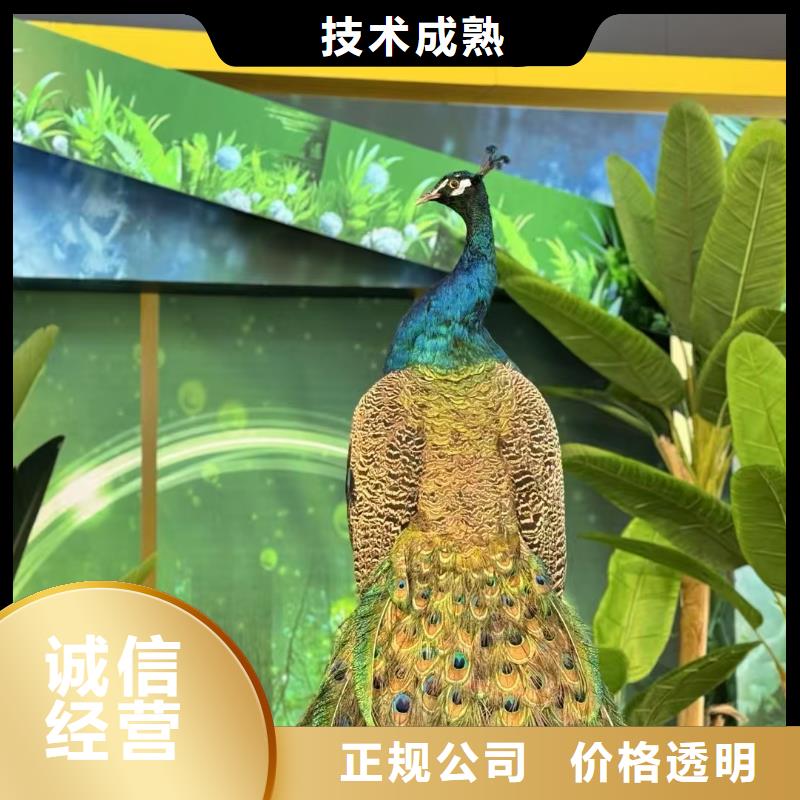 萌寵出租全國銷售點(diǎn)