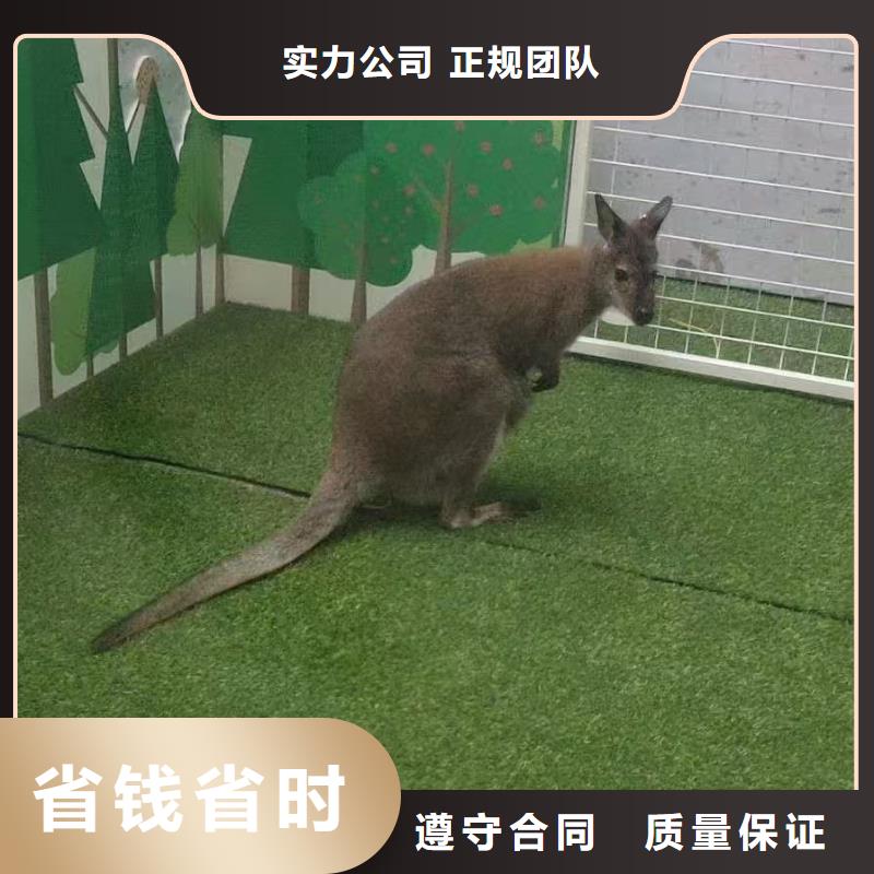 景區(qū)活動訂購