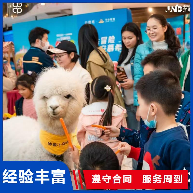 廠家供應(yīng)小矮馬