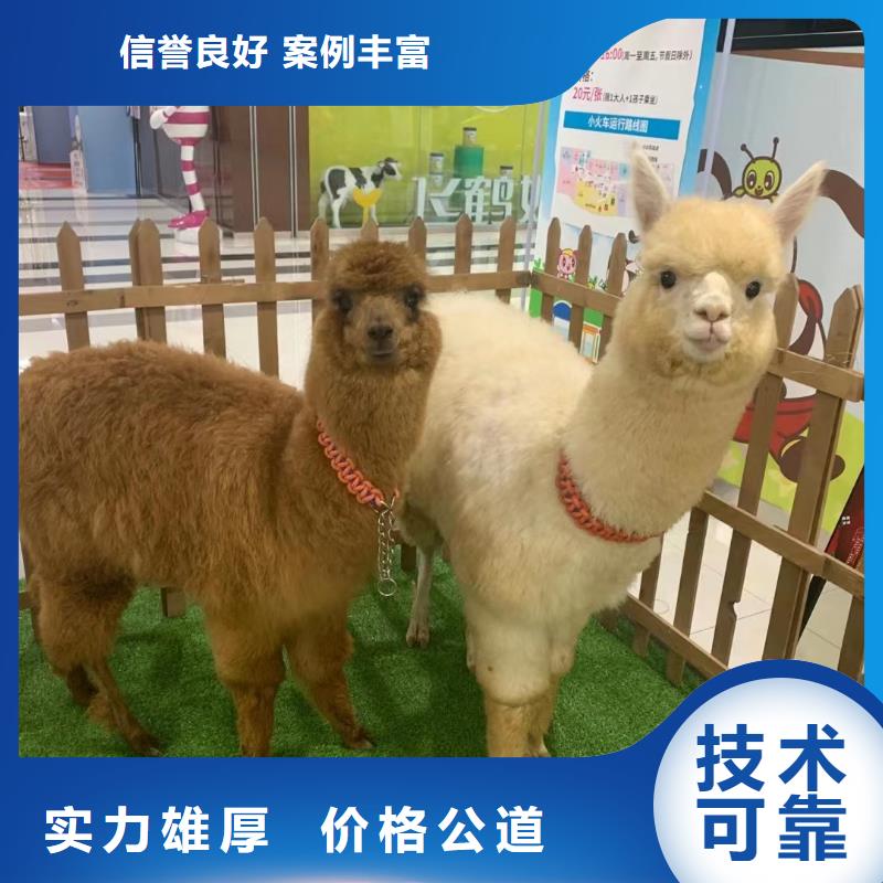 萌寵出租價(jià)格美麗