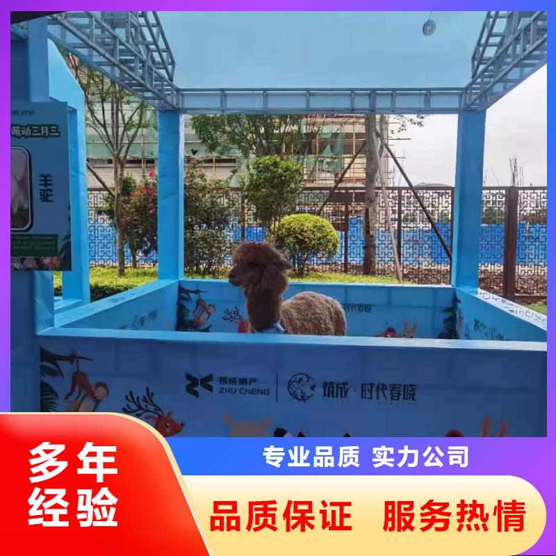 有現(xiàn)貨的景區(qū)活動廠家