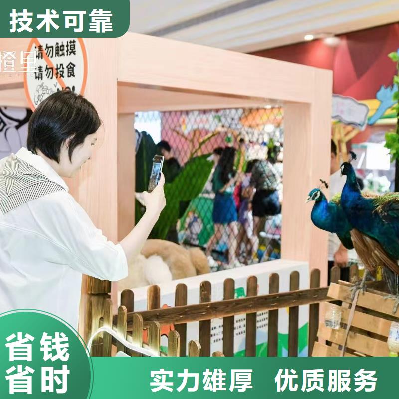 口碑好的萌寵出租生產(chǎn)廠家