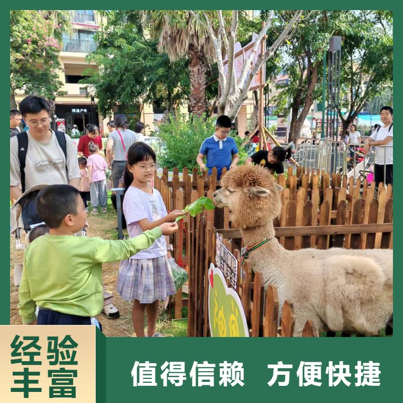 景區(qū)活動訂購