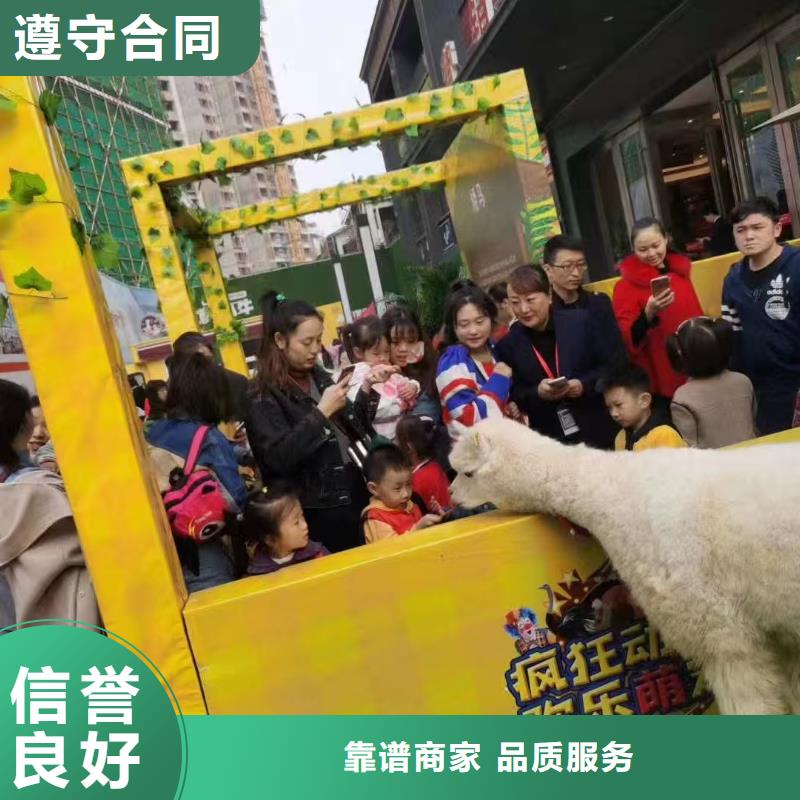 景區(qū)活動訂購