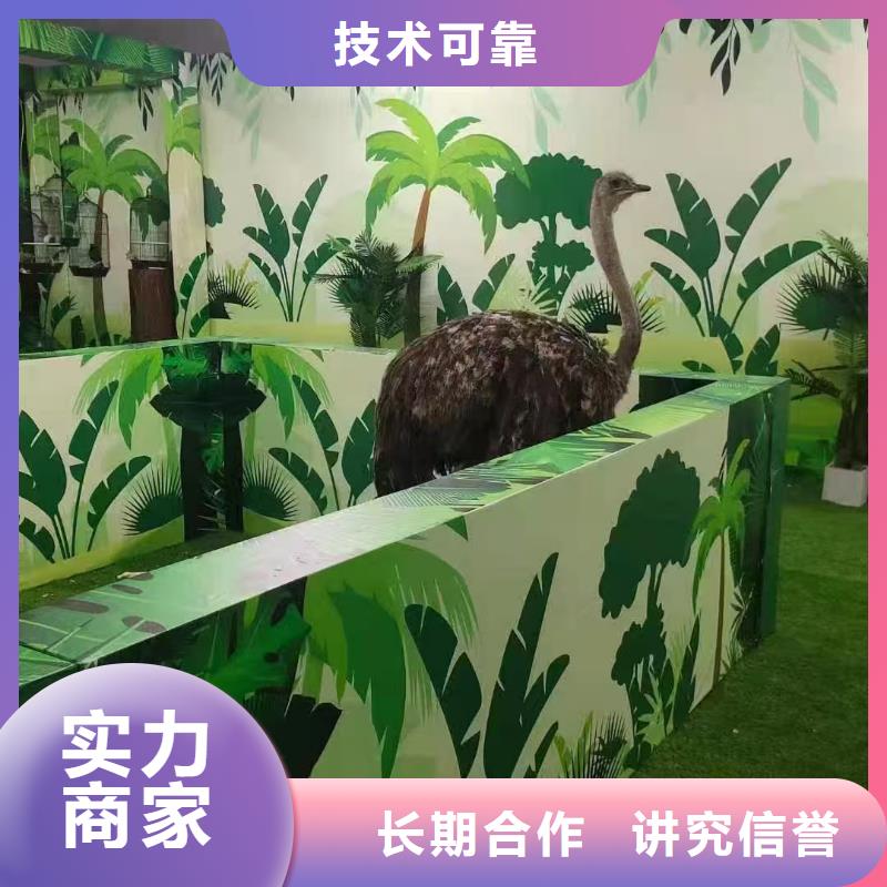 矮馬出租如何購(gòu)買(mǎi)