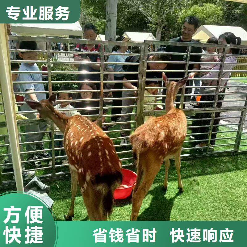 商場暖場活動-商場暖場活動質(zhì)優(yōu)價廉