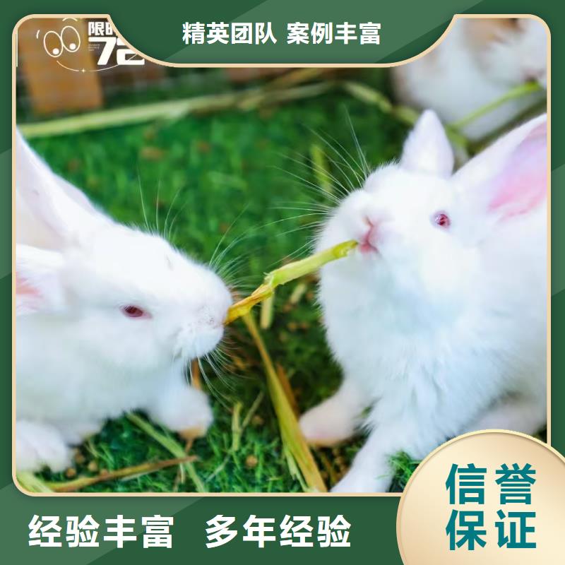 有現(xiàn)貨的景區(qū)活動廠家