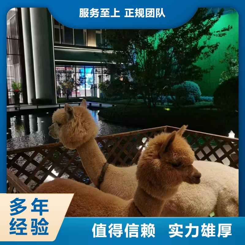 商場暖場活動生產(chǎn)定制