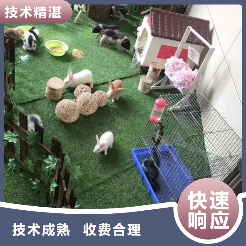 梅花鹿出租廠商